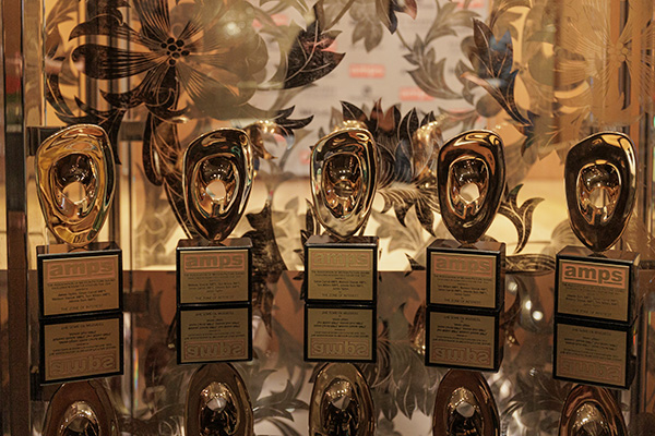 Photo of five AMPS awards trophys